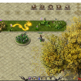 清爽金龙动态版盟重土城【地砖】