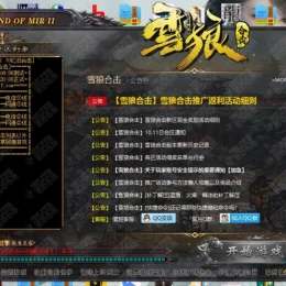 高端订制皮肤八