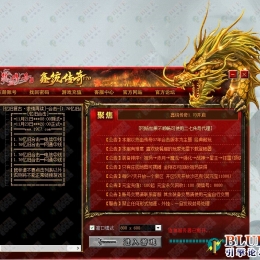 高端订制皮肤十