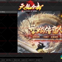 高端订制皮肤37