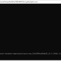 Synaptics病毒专杀工具