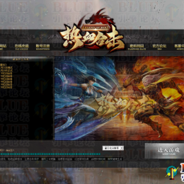 高端订制皮肤25