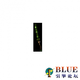 绿域裁决绿玉裁决BMP+PNG