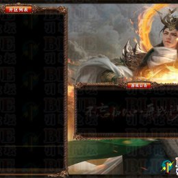 高端订制皮肤21