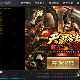 高端订制皮肤十一